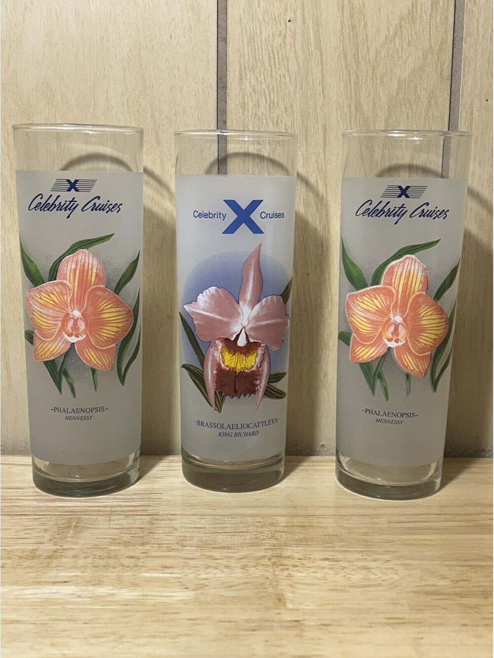 Vintage Set Of 3 Celebrity Cruise Line Floral Cocktail Recipe Glasses 7" 1990’s